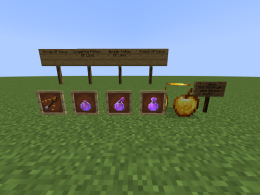 Items in the mod